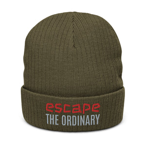 Ribbed knit beanie