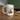 Coffee/Tea Mug 15 oz - white