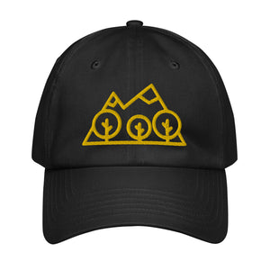 Under Armour® dad hat