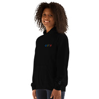 EMBROIDERED HEAVY BLEND PULLOVER HOODIE | GILDAN