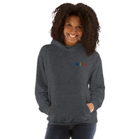 EMBROIDERED HEAVY BLEND PULLOVER HOODIE | GILDAN