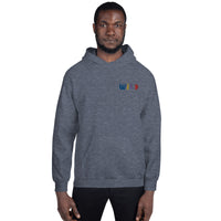 EMBROIDERED HEAVY BLEND PULLOVER HOODIE | GILDAN