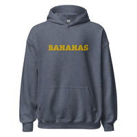 EMBROIDERED HEAVY BLEND PULLOVER HOODIE | GILDAN