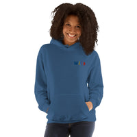 EMBROIDERED HEAVY BLEND PULLOVER HOODIE | GILDAN