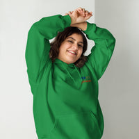 EMBROIDERED HEAVY BLEND PULLOVER HOODIE | GILDAN