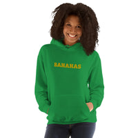 EMBROIDERED HEAVY BLEND PULLOVER HOODIE | GILDAN