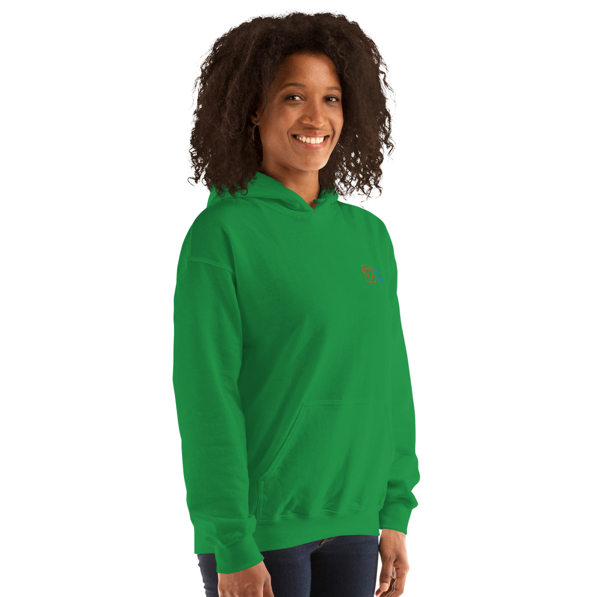 EMBROIDERED HEAVY BLEND PULLOVER HOODIE | GILDAN