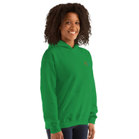 EMBROIDERED HEAVY BLEND PULLOVER HOODIE | GILDAN