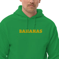 EMBROIDERED HEAVY BLEND PULLOVER HOODIE | GILDAN