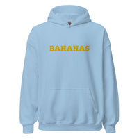 EMBROIDERED HEAVY BLEND PULLOVER HOODIE | GILDAN