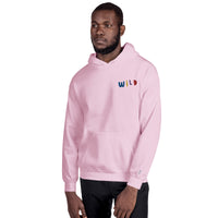 EMBROIDERED HEAVY BLEND PULLOVER HOODIE | GILDAN