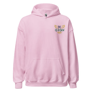 EMBROIDERED HEAVY BLEND PULLOVER HOODIE | GILDAN