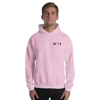EMBROIDERED HEAVY BLEND PULLOVER HOODIE | GILDAN