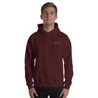 EMBROIDERED HEAVY BLEND PULLOVER HOODIE | GILDAN
