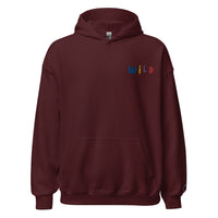 EMBROIDERED HEAVY BLEND PULLOVER HOODIE | GILDAN
