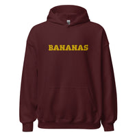 EMBROIDERED HEAVY BLEND PULLOVER HOODIE | GILDAN