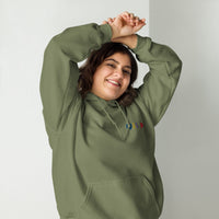EMBROIDERED HEAVY BLEND PULLOVER HOODIE | GILDAN