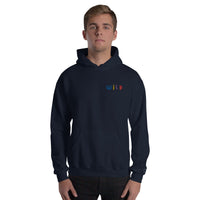 EMBROIDERED HEAVY BLEND PULLOVER HOODIE | GILDAN
