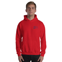 EMBROIDERED HEAVY BLEND PULLOVER HOODIE | GILDAN