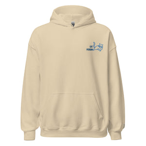 EMBROIDERED HEAVY BLEND PULLOVER HOODIE | GILDAN