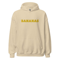 EMBROIDERED HEAVY BLEND PULLOVER HOODIE | GILDAN