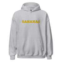 EMBROIDERED HEAVY BLEND PULLOVER HOODIE | GILDAN