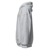 EMBROIDERED HEAVY BLEND PULLOVER HOODIE | GILDAN