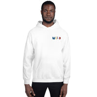 EMBROIDERED HEAVY BLEND PULLOVER HOODIE | GILDAN