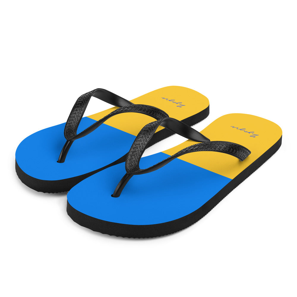 Flip-Flops