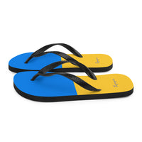 Flip-Flops