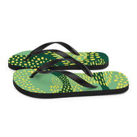 Flip-Flops