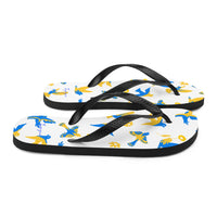 Flip-Flops