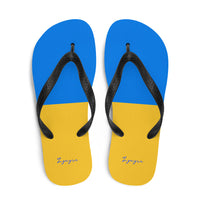 Flip-Flops